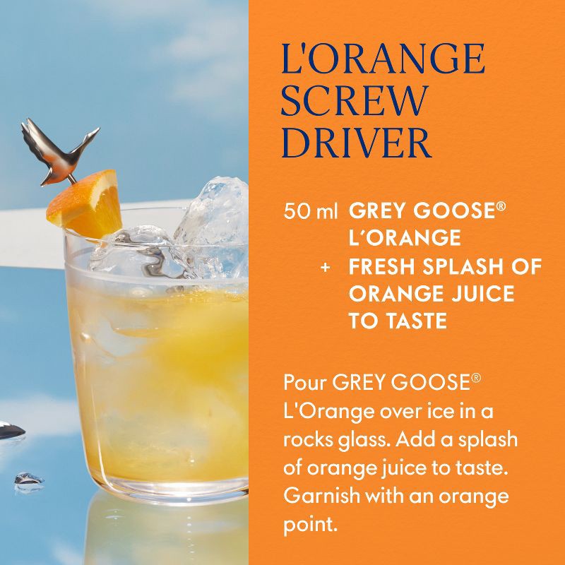 slide 4 of 6, Grey Goose Orange Vodka - 750ml Bottle, 750 ml