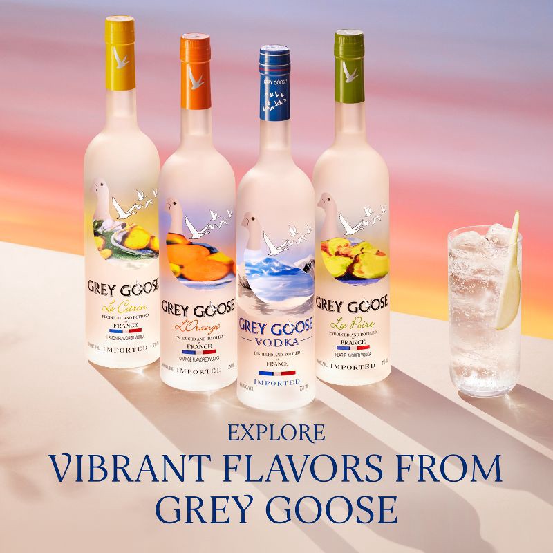 slide 6 of 6, Grey Goose Orange Vodka - 750ml Bottle, 750 ml