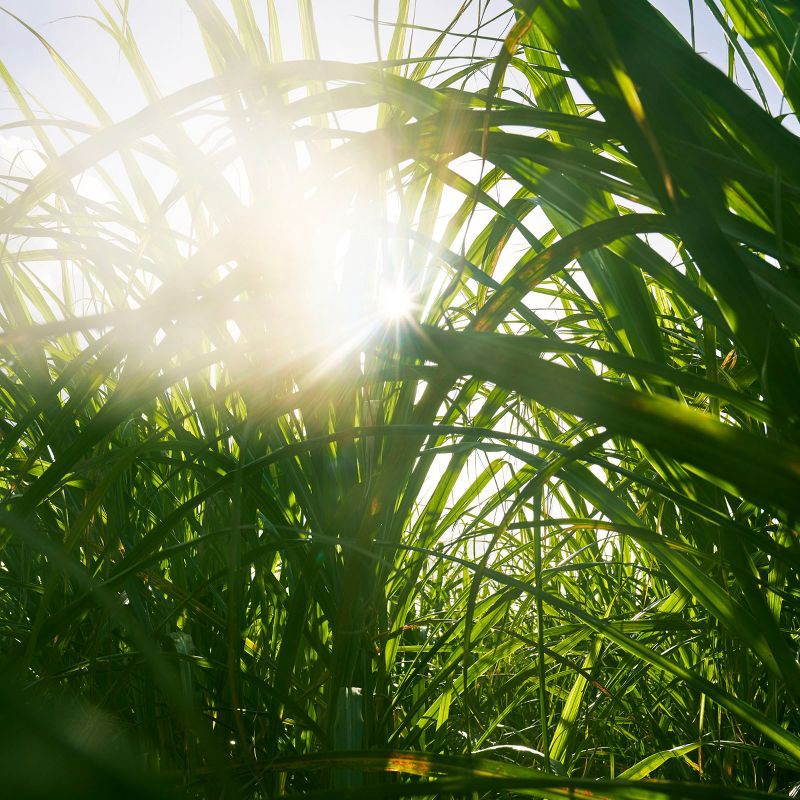 slide 14 of 23, Mount Gay Eclipse Heritage Blend Rum - 750ml Bottle, 750 ml