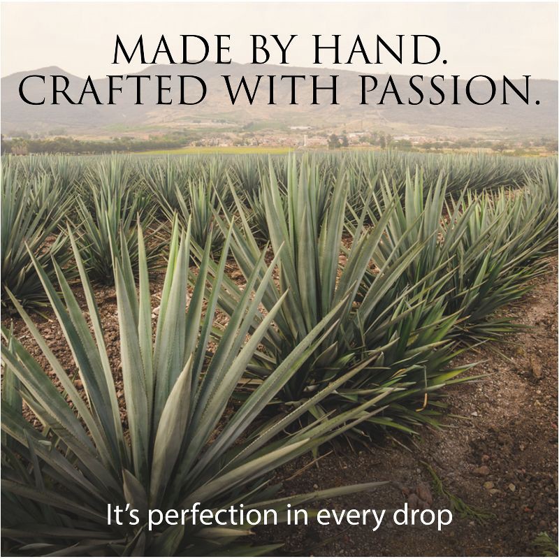 slide 10 of 10, Patron Patrón Reposado Tequila - 750ml Bottle, 750 ml