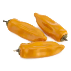 Pepper Habanero