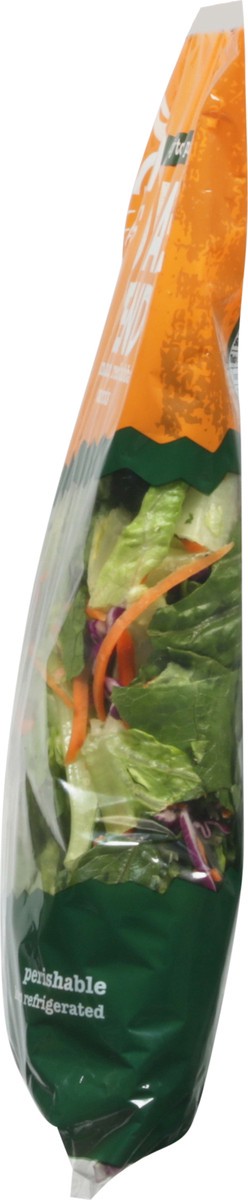 slide 5 of 9, Farmer's Market Romaine Blend 10 oz, 10 oz