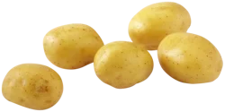 Yellow Potatoes