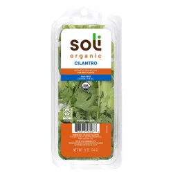 Soli Cilantro