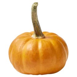 Mini Pumpkin up to 1 Lb