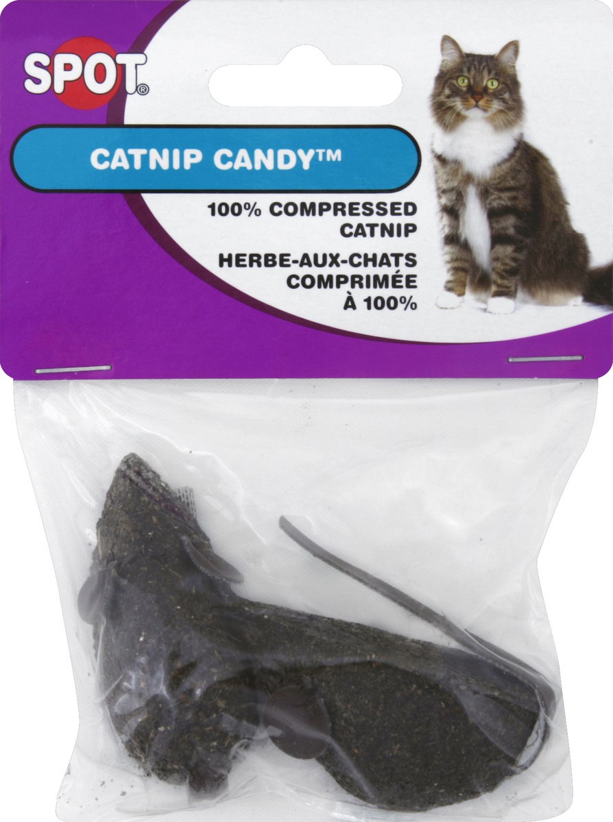 slide 2 of 2, SPOT Cat Toy, Catnip Candy, 1 ct