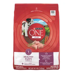 Purina ONE SmartBlend Healthy Puppy Natural Chicken Flavor Dry Dog Food - 16.5lbs