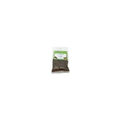 Cub Ground Allspice