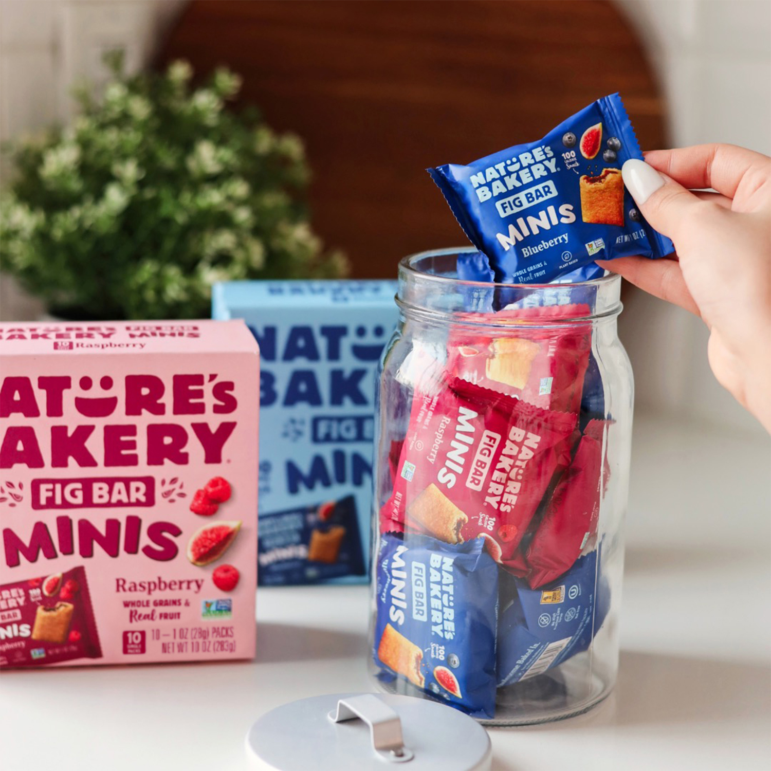 slide 5 of 5, Nature's Bakery Blueberry Whole Wheat Fig Bar Minis, Snack Bars, 10 Ct, 10 oz