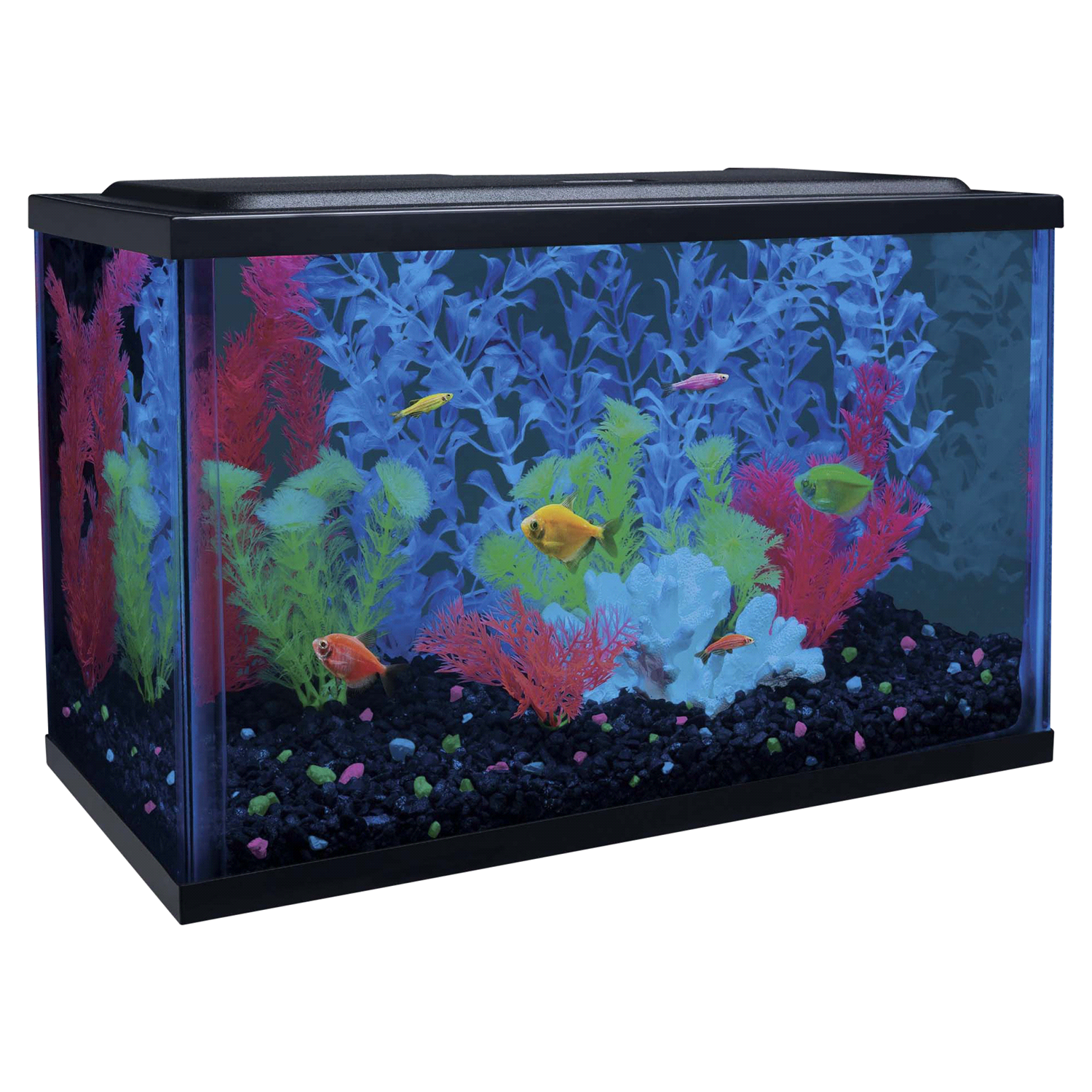 slide 5 of 5, Tetra GloFish Aquarium Kit, 5 gal
