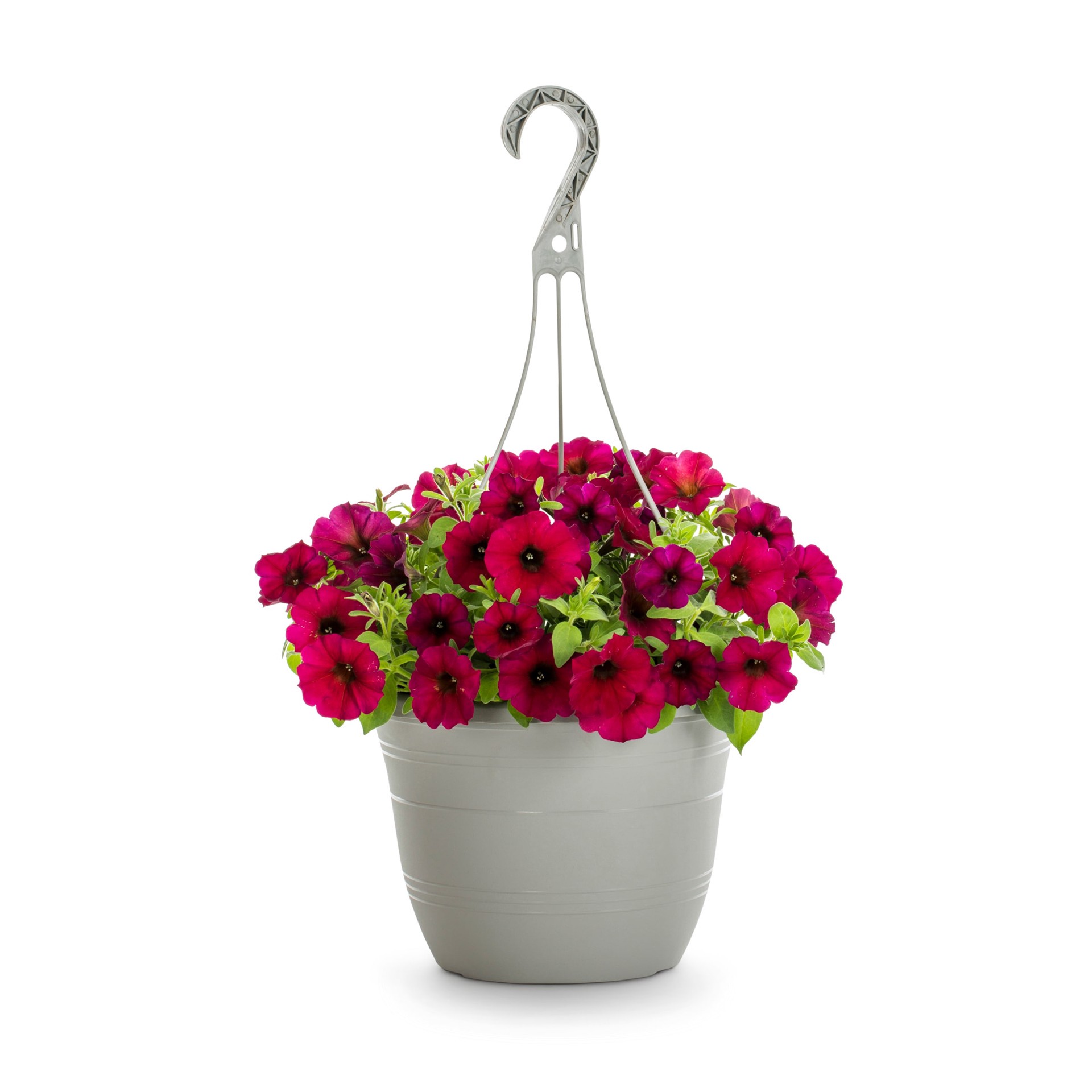 slide 3 of 6, Lowe's Multicolor Petunia in 1.5-Gallon (s) Hanging Basket, 1 ct