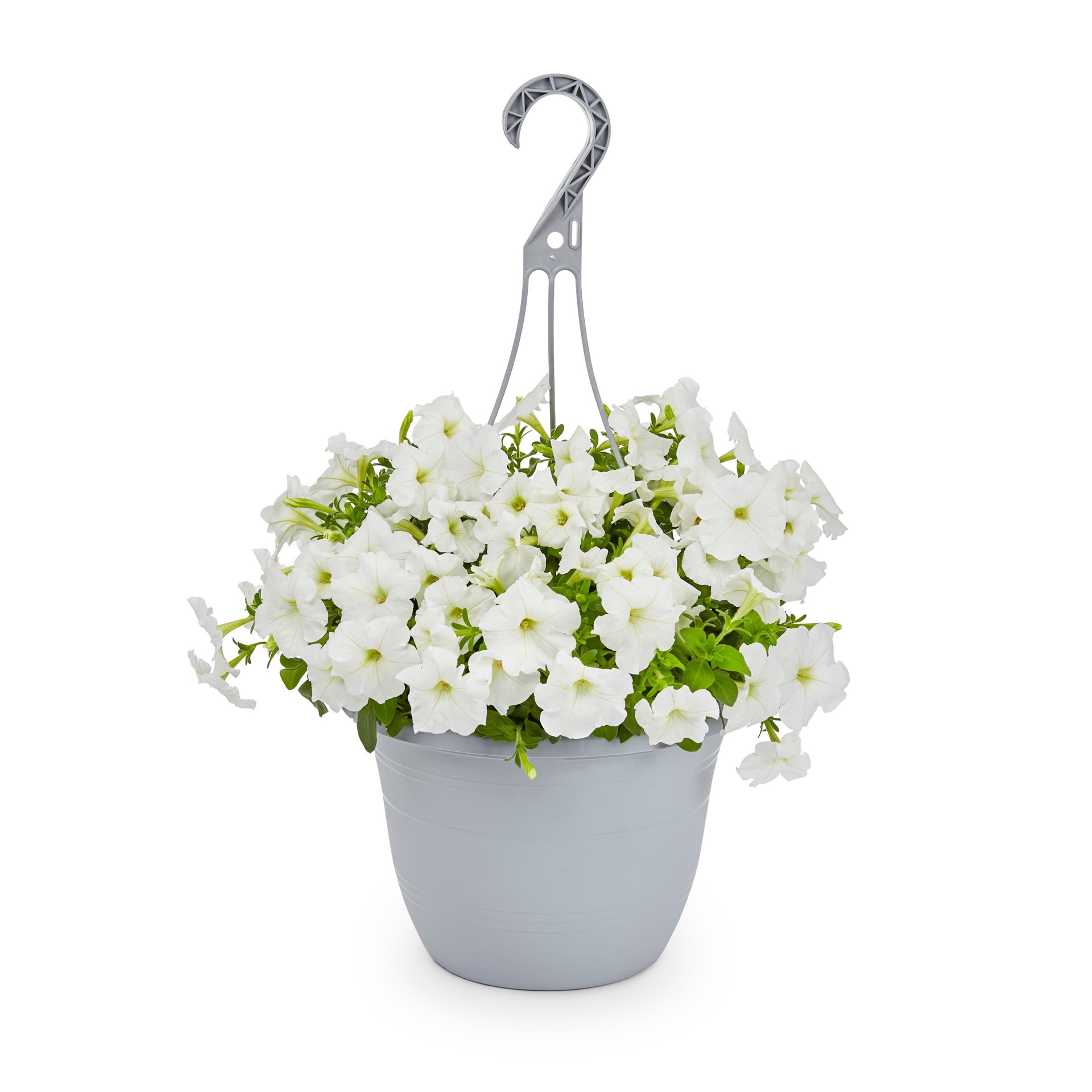 slide 5 of 6, Lowe's Multicolor Petunia in 1.5-Gallon (s) Hanging Basket, 1 ct