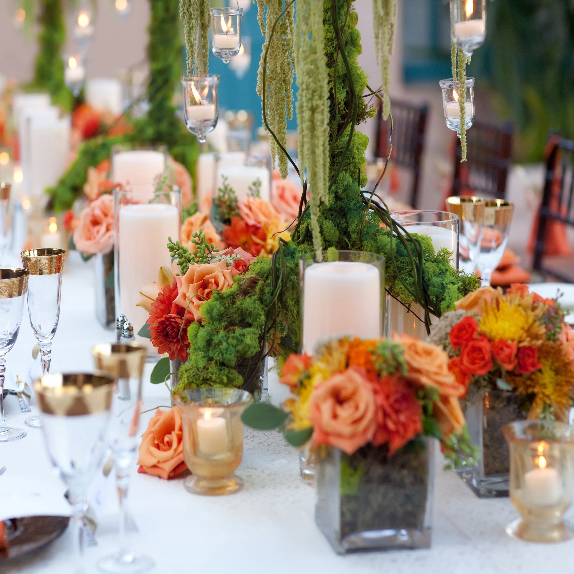 slide 3 of 5, Supermoss 8oz. Basil Preserved Reindeer Moss, 8 oz