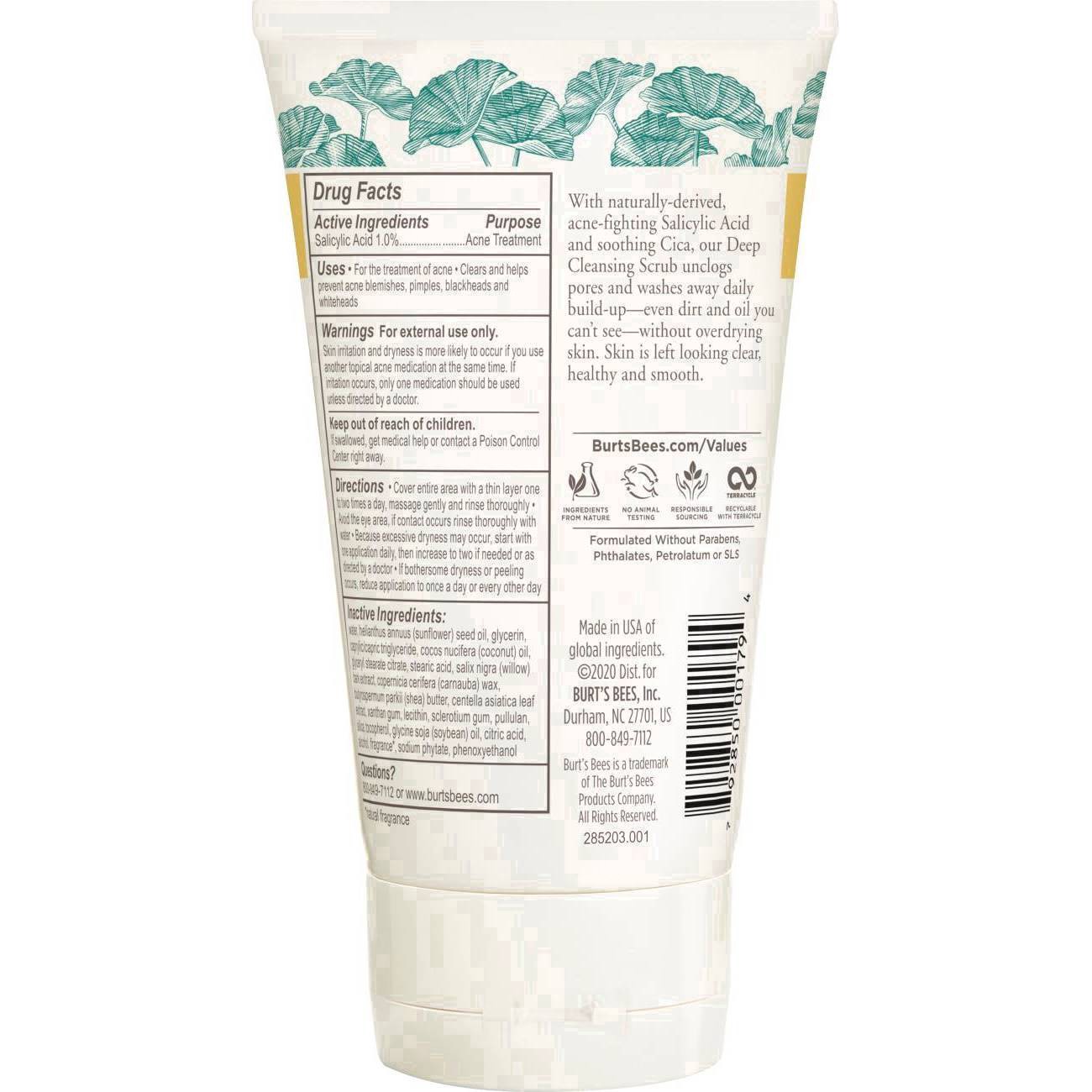 slide 53 of 83, Burt's Bees Natural Acne Solutions Deep Cleansing Scrub 4 oz, 4 fl oz