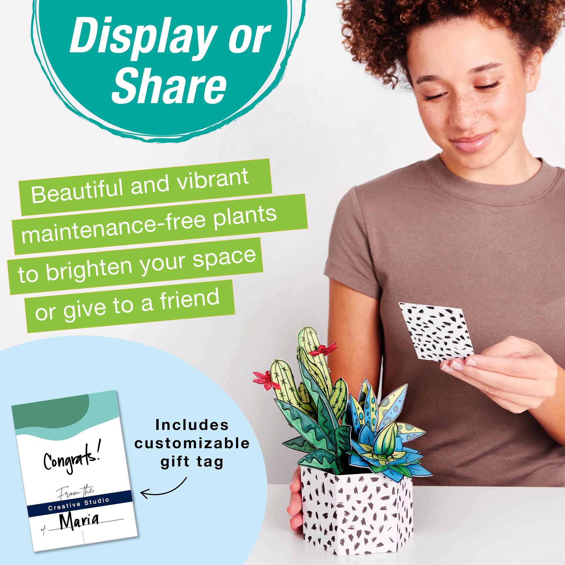 slide 5 of 10, Faber-Castell Succulents Pop Up Coloring Bouquet, 1 ct