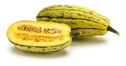 Delicata Squash