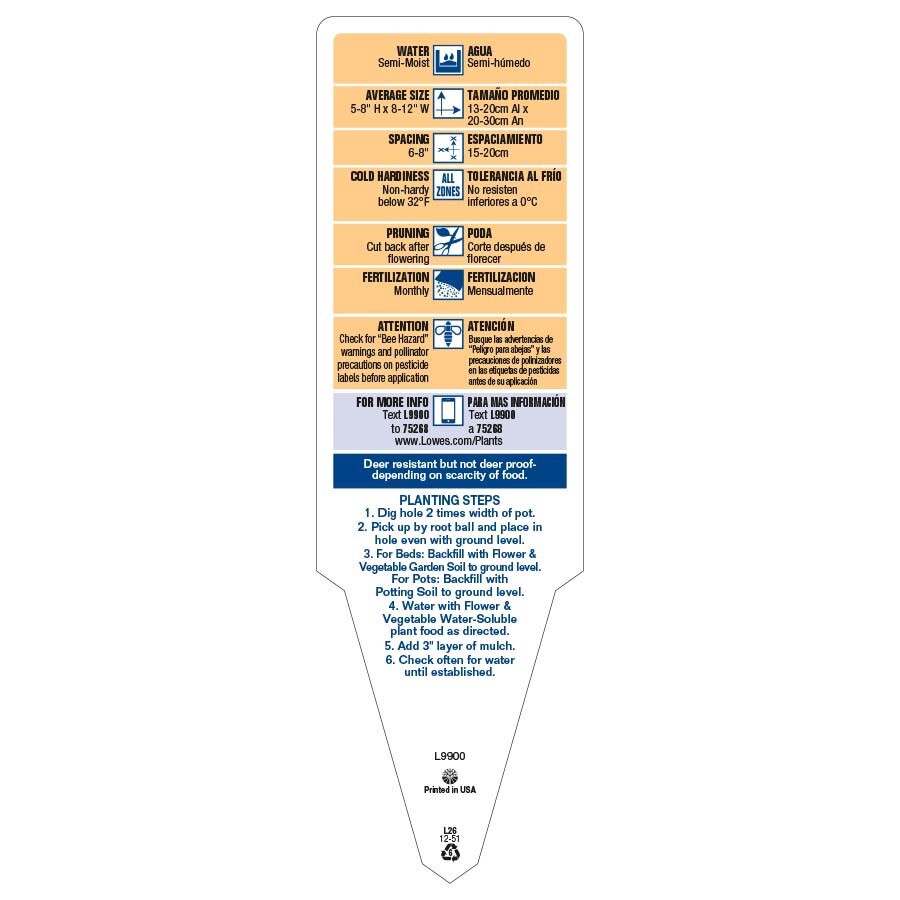 slide 4 of 5, Monrovia Multicolor Lobelia in 1-Quart Pot, 1 ct