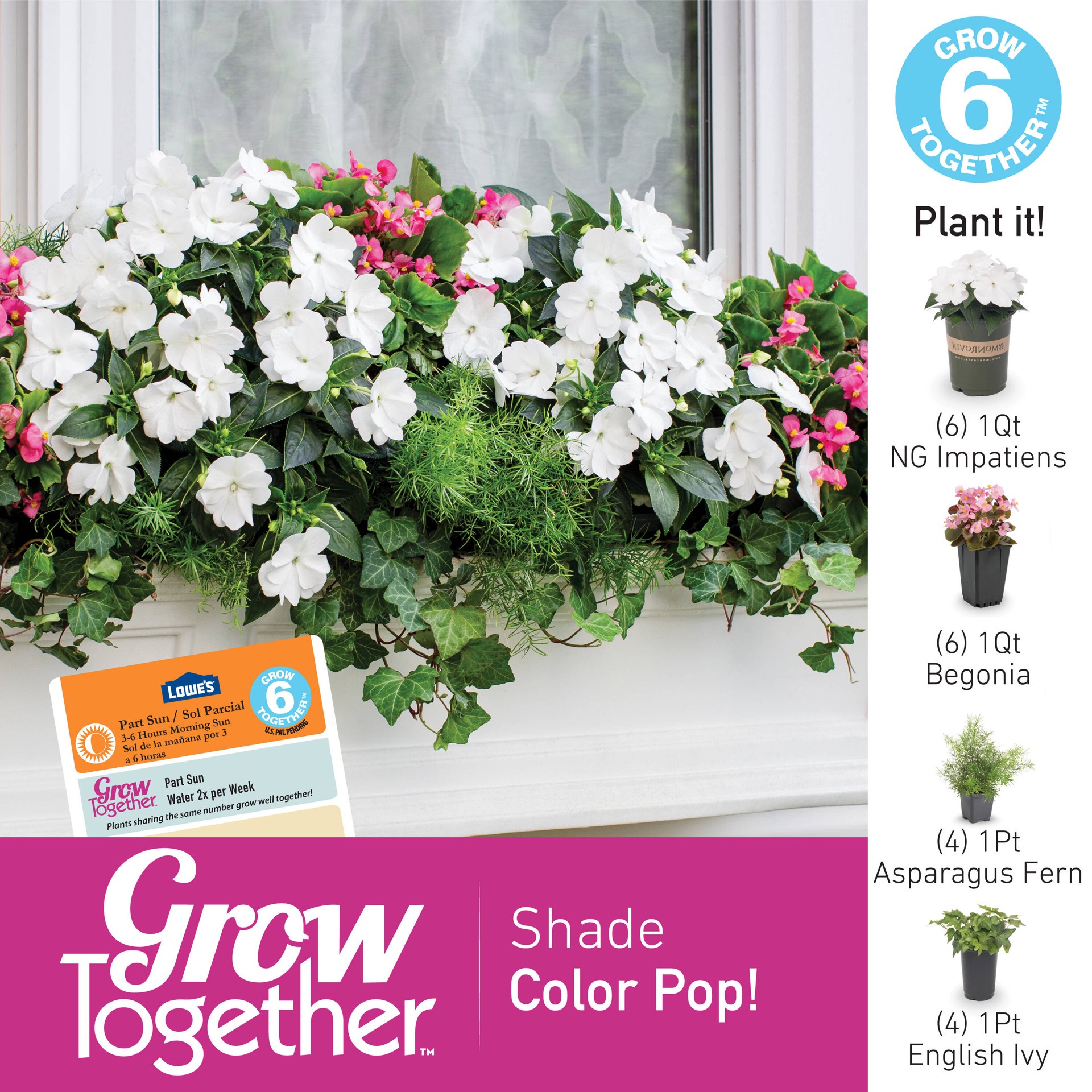 slide 5 of 6, Monrovia Multicolor New Guinea Impatiens in 1-Quart Pot, 1 ct