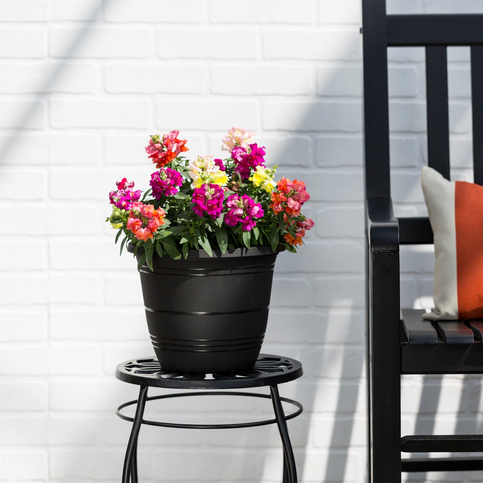 slide 4 of 5, Lowe's Multicolor Snapdragon in 1.75 Gallon(s) Planter 1 -Pack, 1 ct