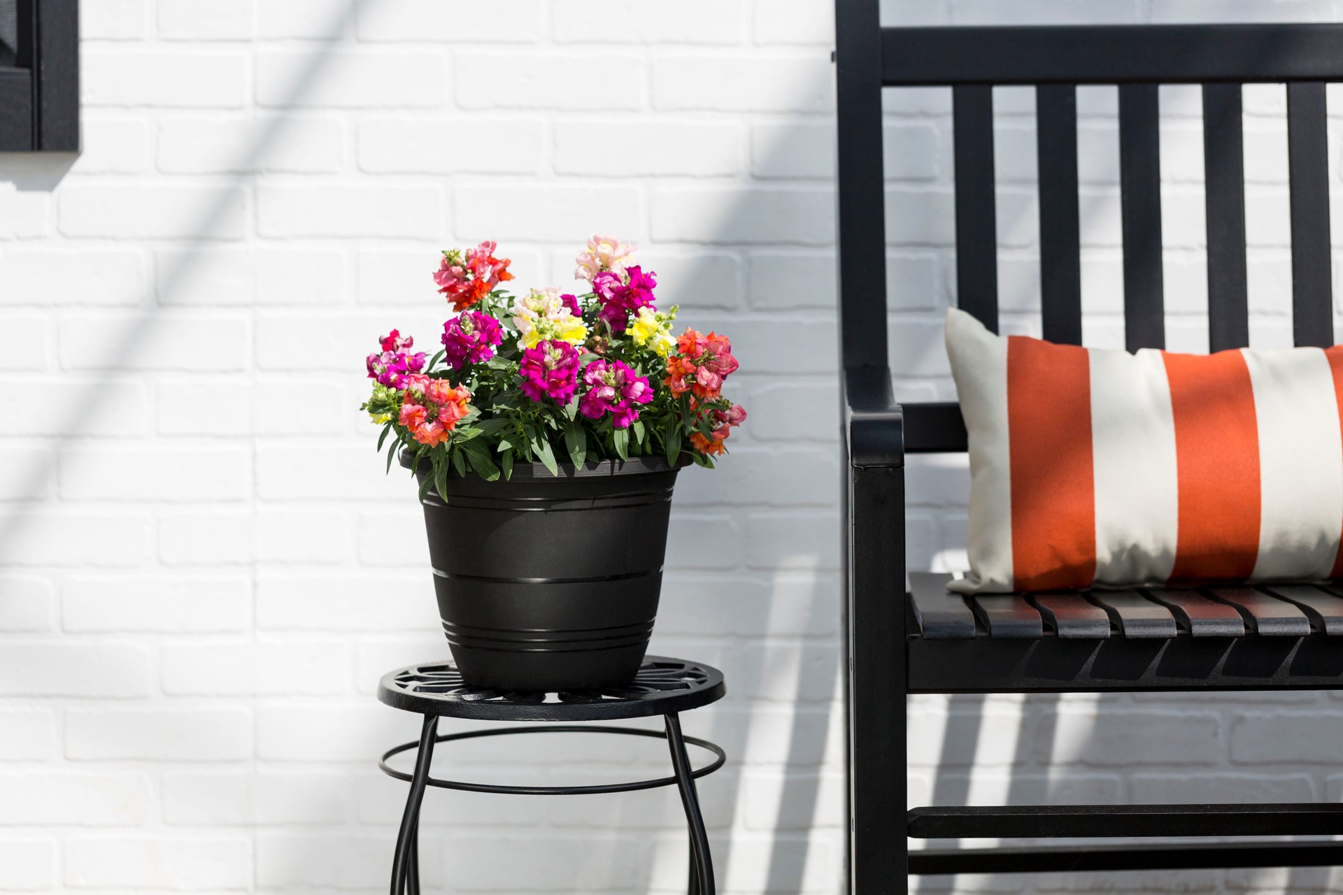 slide 5 of 5, Lowe's Multicolor Snapdragon in 1.75 Gallon(s) Planter 1 -Pack, 1 ct