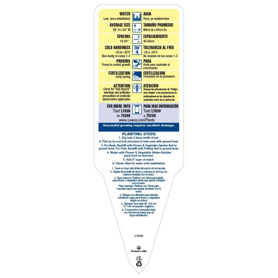 slide 3 of 3, Lowe's Multicolor Yarrow Plant in 1-Quart Pot, 1 ct