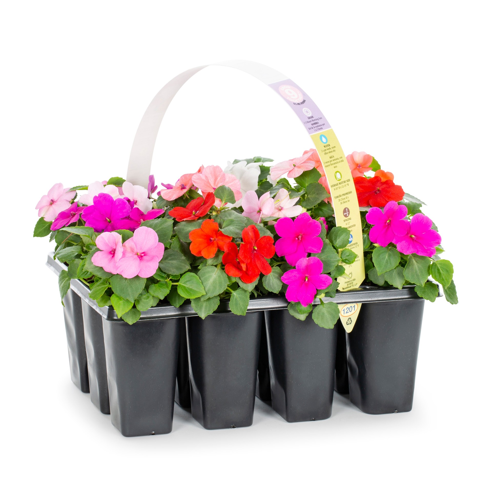 slide 3 of 6, Lowe's Multicolor Impatiens in 12-Pack Tray, 1 ct