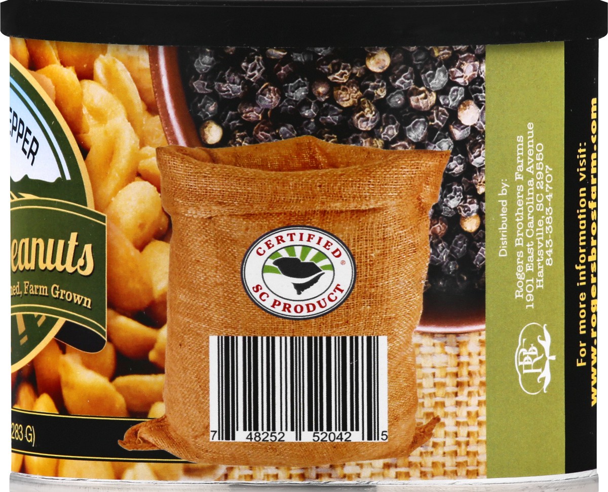 slide 2 of 13, Gillespies Peanuts Gillepsies Sea Salt & Pepper Peanuts, 10 oz
