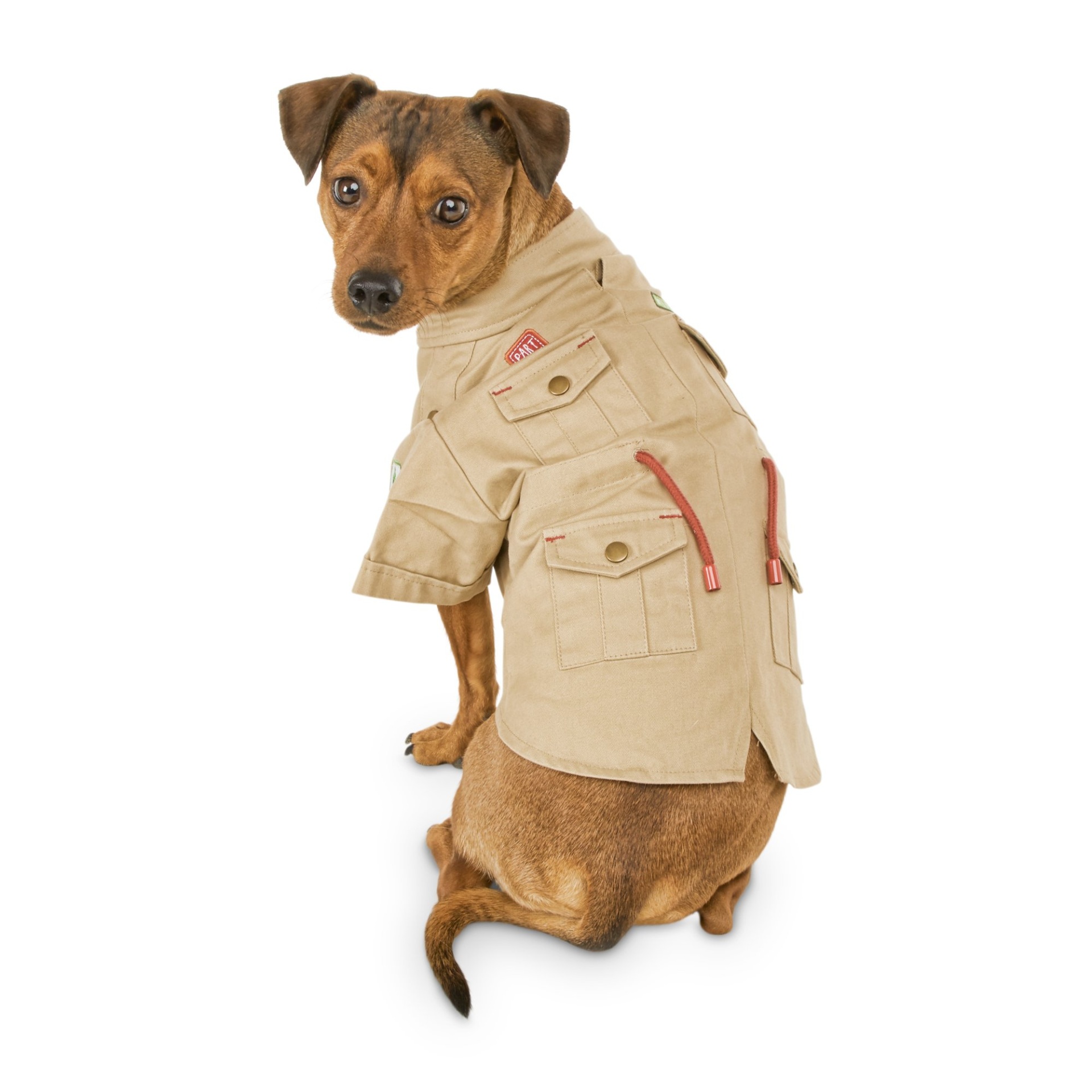slide 1 of 1, Bond & Co. Bark Ranger Dog Jacket, MED