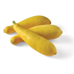 Fresh Yellow Squash