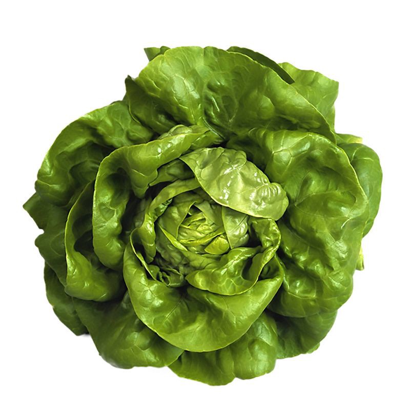 slide 2 of 3, Butter Lettuce Head - each, 1 ct