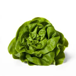 Fresh Butter Lettuce Head - each