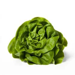 Fresh Butter Lettuce Head - each