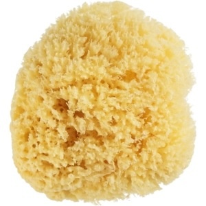 slide 1 of 1, Essence of Beauty Beauty 360 Natural Sea Sponge, 1 ct