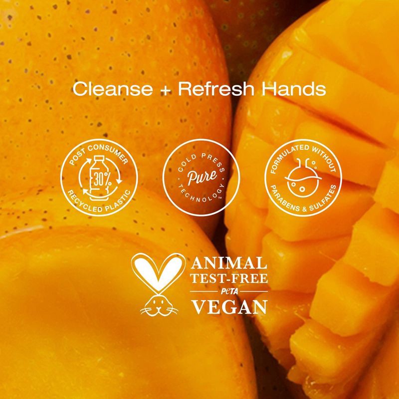slide 4 of 7, Raw Sugar Moisture Loving Hand Wash - Raw Coconut and Mango - 16.9 fl oz, 16.9 fl oz