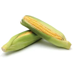 Bicolor Sweet Corn