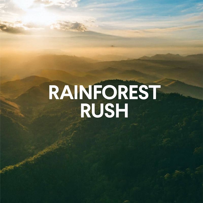 slide 9 of 17, Clorox ToiletWand Disinfecting Refills Disposable Wand Heads - Rainforest Rush - 20ct, 20 ct