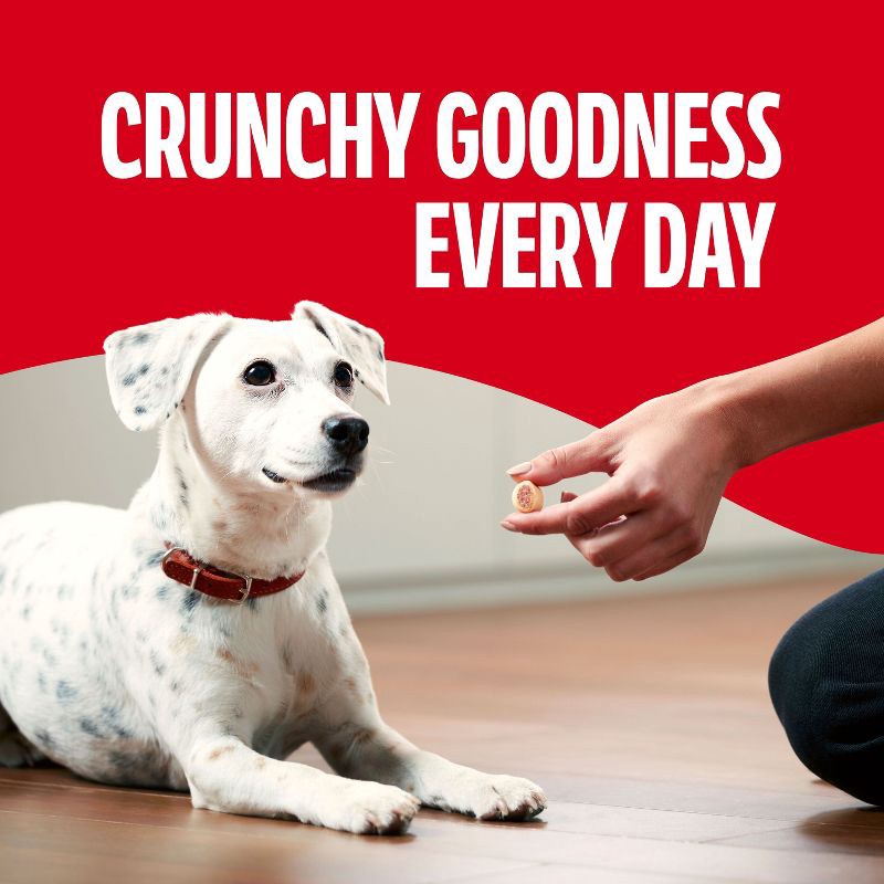 slide 2 of 9, Milk-Bone MaroSnacks with Real Bone Marrow Canister Dog Treats - 40oz, 40 oz