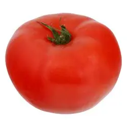 Westside's Plu Tomatoes Greenhouse