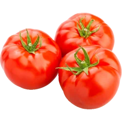 Hothouse Tomato
