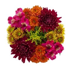 Hy-Vee Floral Just Because Bouquet