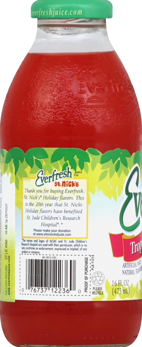 slide 4 of 4, Everfresh Tropical Fruit Punch Glass Bottle - 16 fl oz, 16 fl oz