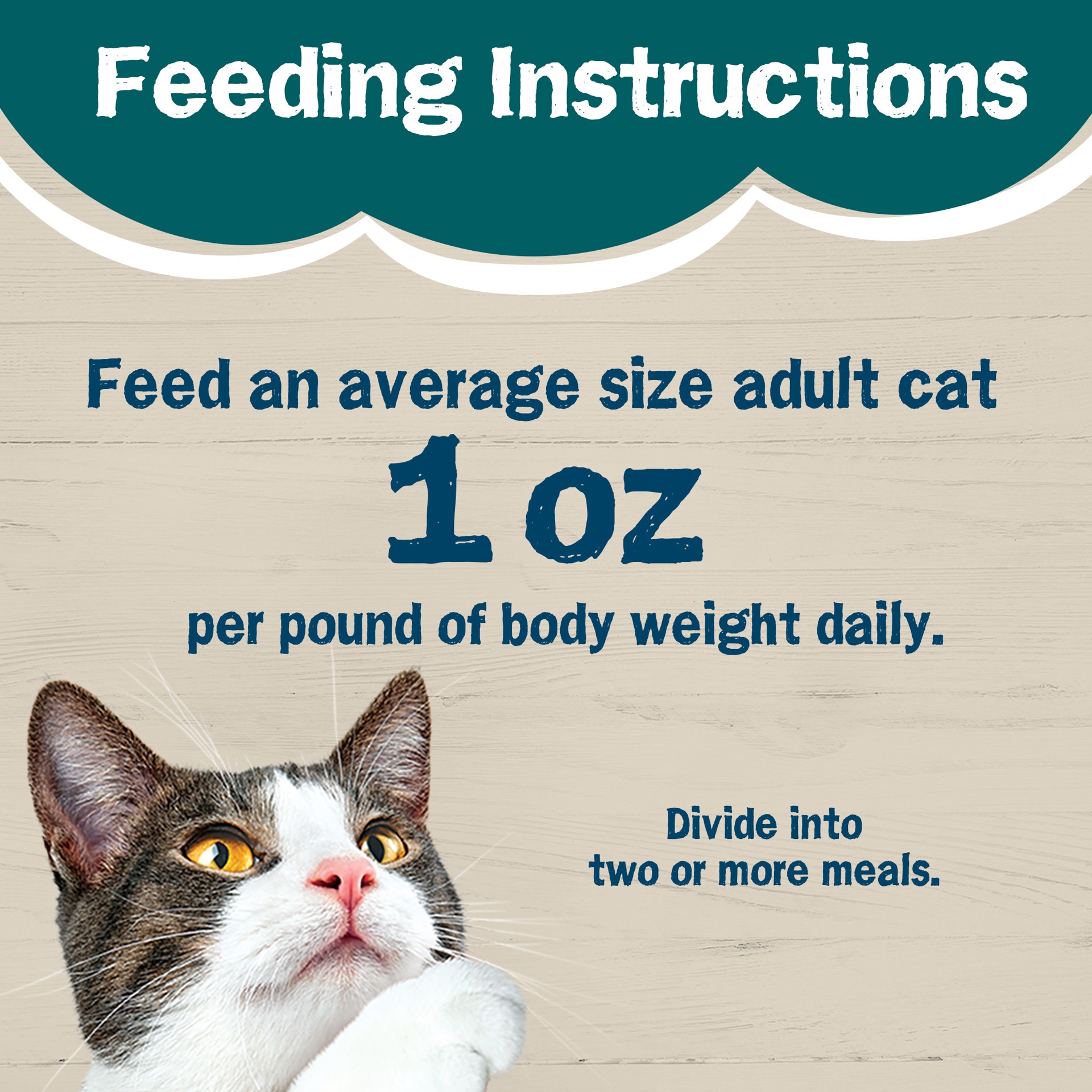 slide 8 of 8, Friskies Purina Friskies Wet Cat Food Wild Favorites With Wild Caught Cod & Kale in Sauce, 5.5 oz