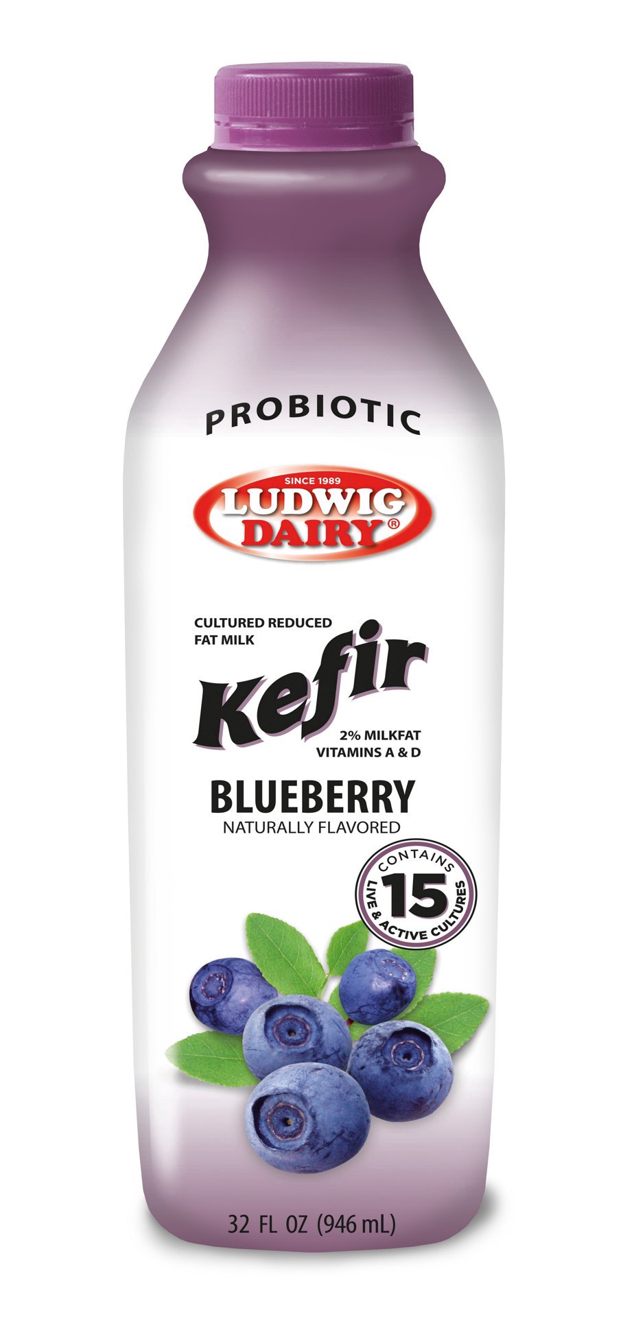 slide 1 of 1, Ludwig Dairy Blueberry Probiotic Kefir, 32 oz