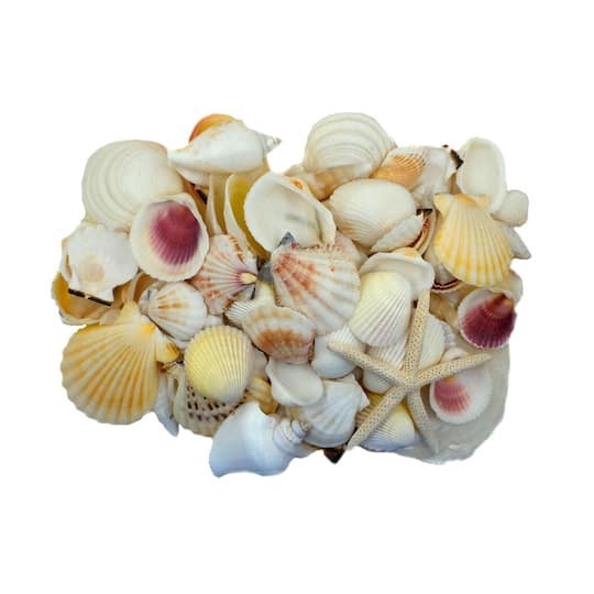 slide 1 of 4, U.s. Shell Inc. U.s. Shell Light Shell Mix With Starfish Gift Pack, 1 ct