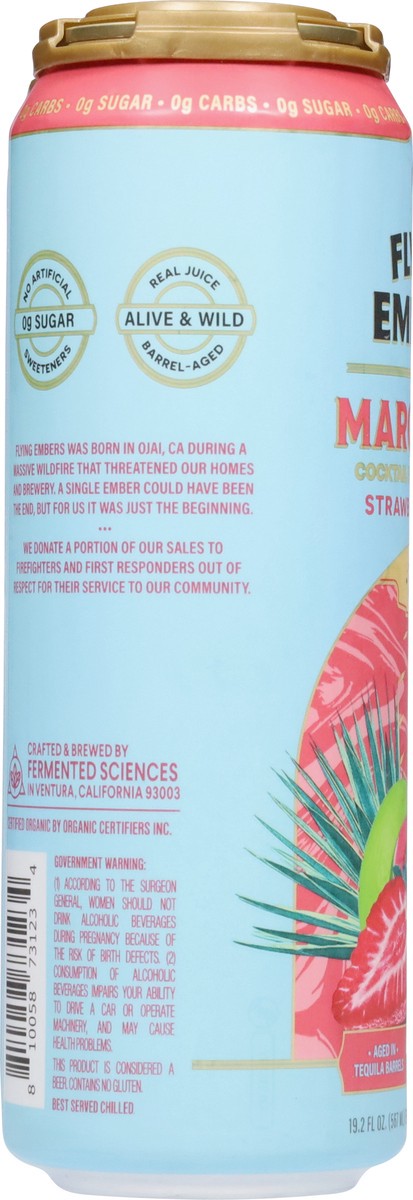 slide 4 of 13, Flying Embers Strawberry Guava Margarita 2 - 19.2 fl oz Cans, 2 ct