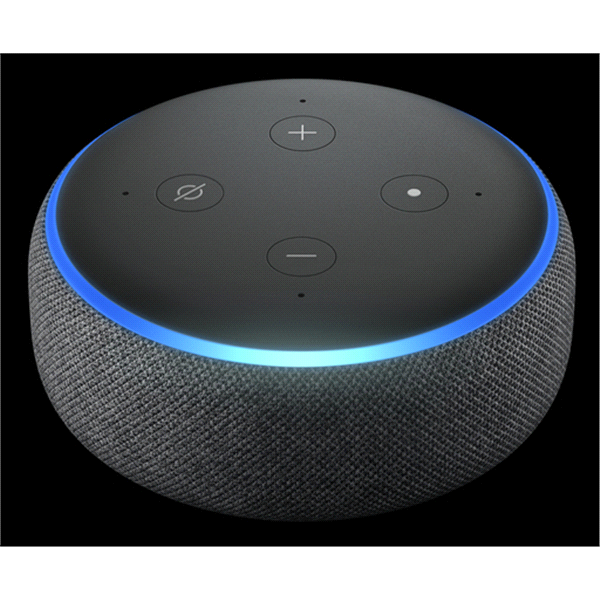 slide 1 of 1, Amazon Echo Dot 3rd GEN Charcoal, 1 ct