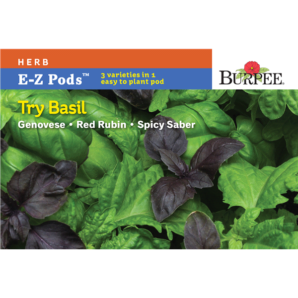 slide 1 of 1, Burpee Simplysalad Try Basil, 1 ct