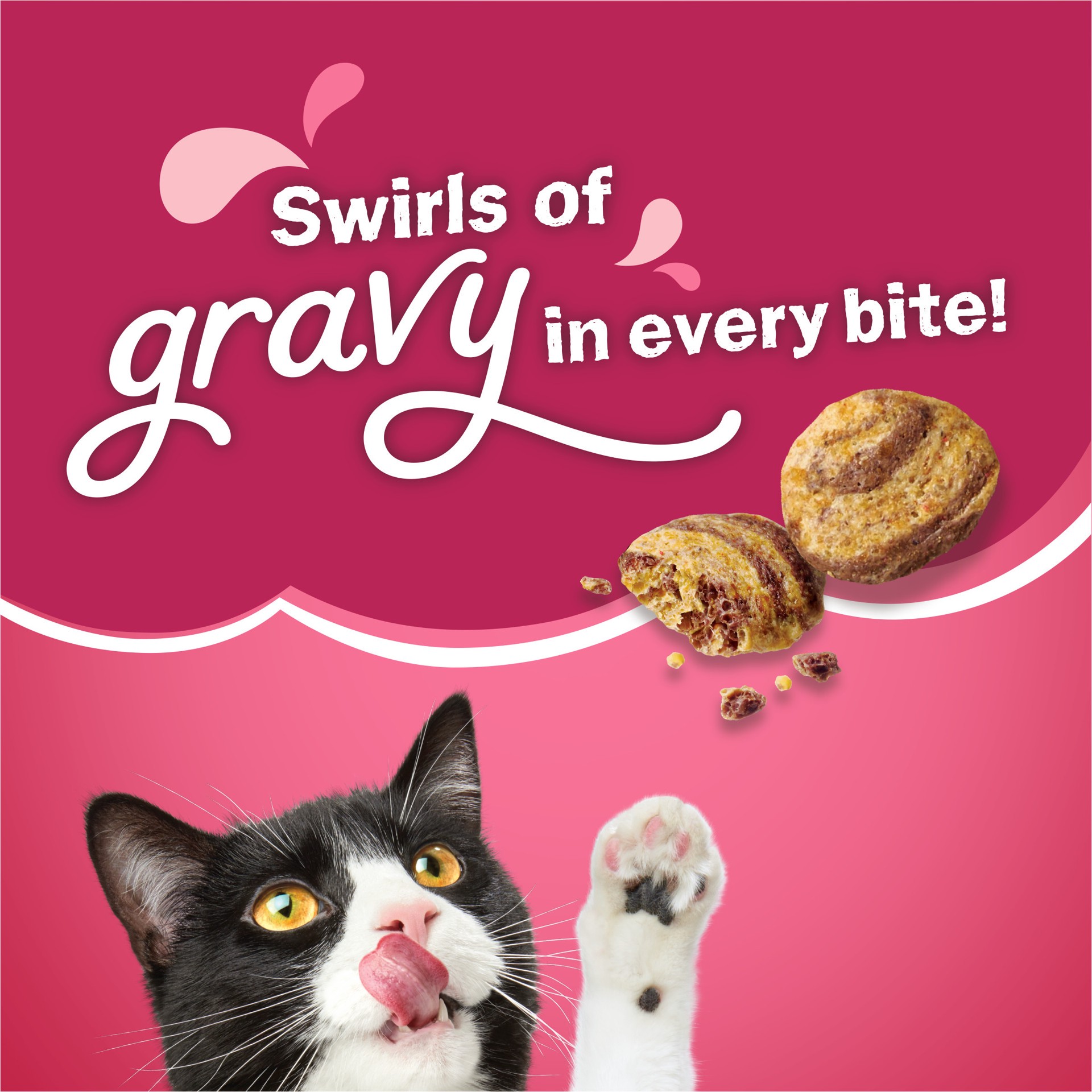 slide 3 of 9, Friskies Purina Friskies Dry Cat Food Gravy Swirl'd With Flavors of Chicken, Salmon and Gravy - 16 lb. Bag, 16 lb