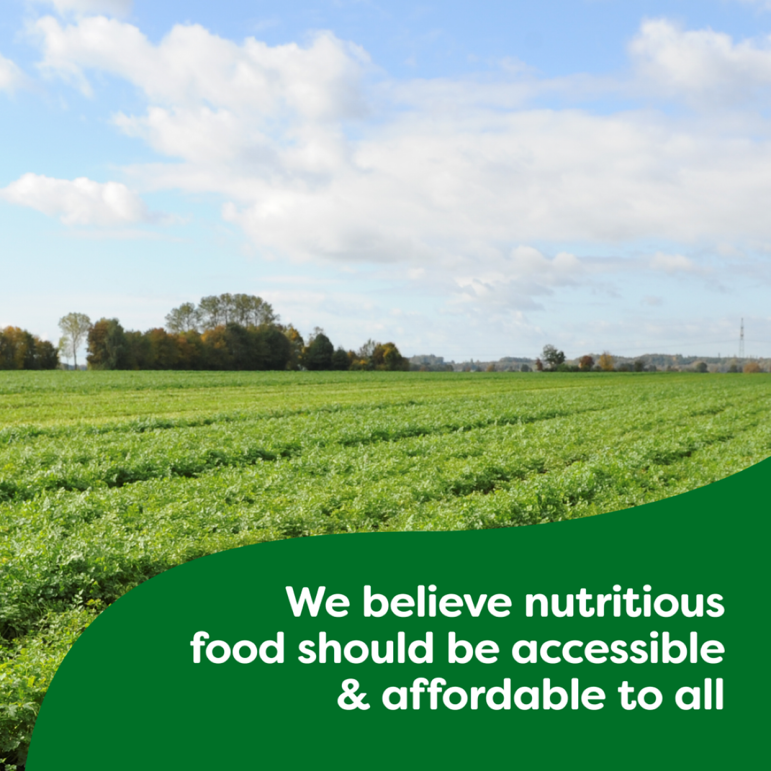 slide 3 of 7, Knorr cube bouillon chicken, 3.1 oz