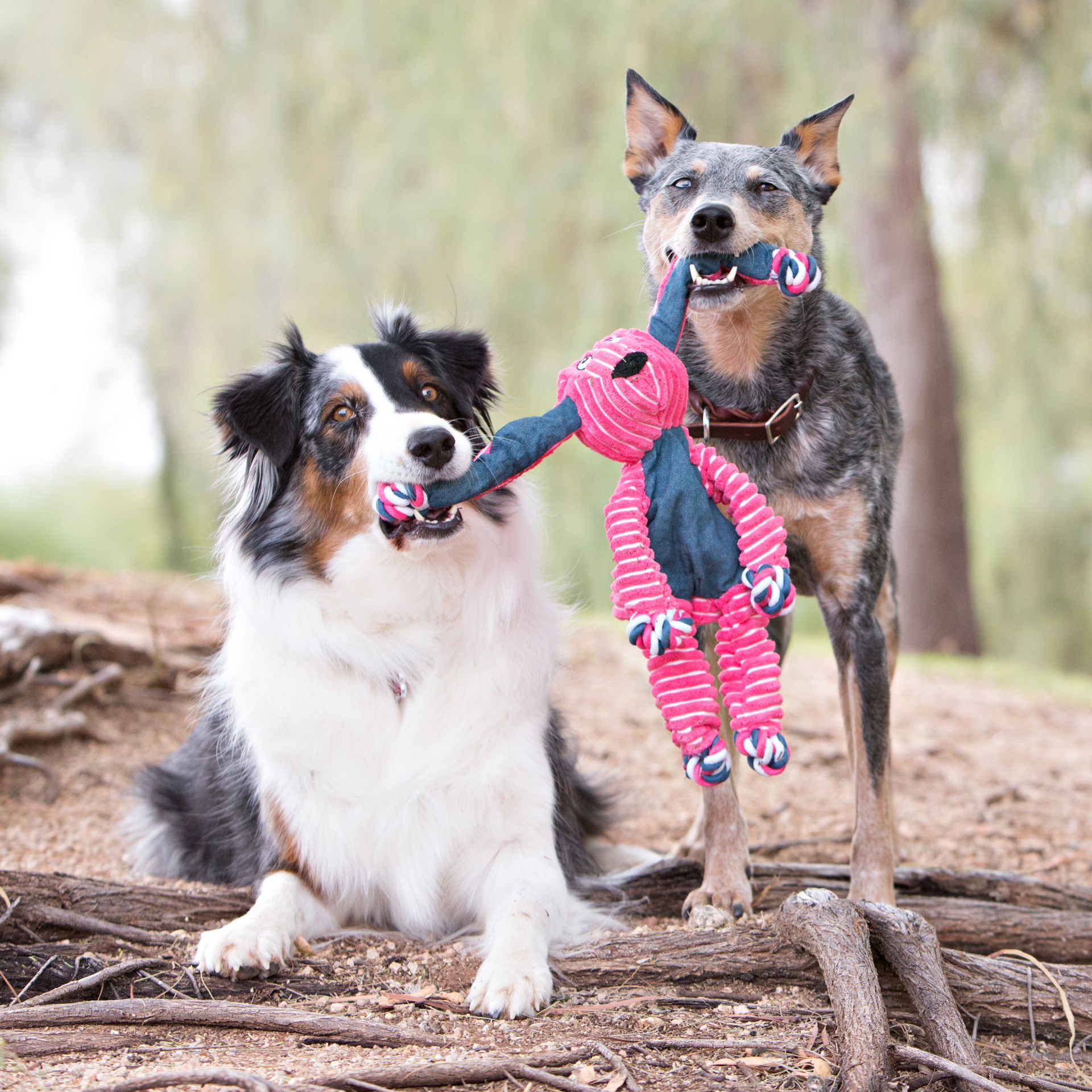 slide 4 of 4, Kong Floppy Knots Bunny Dog Toy, 1 ct